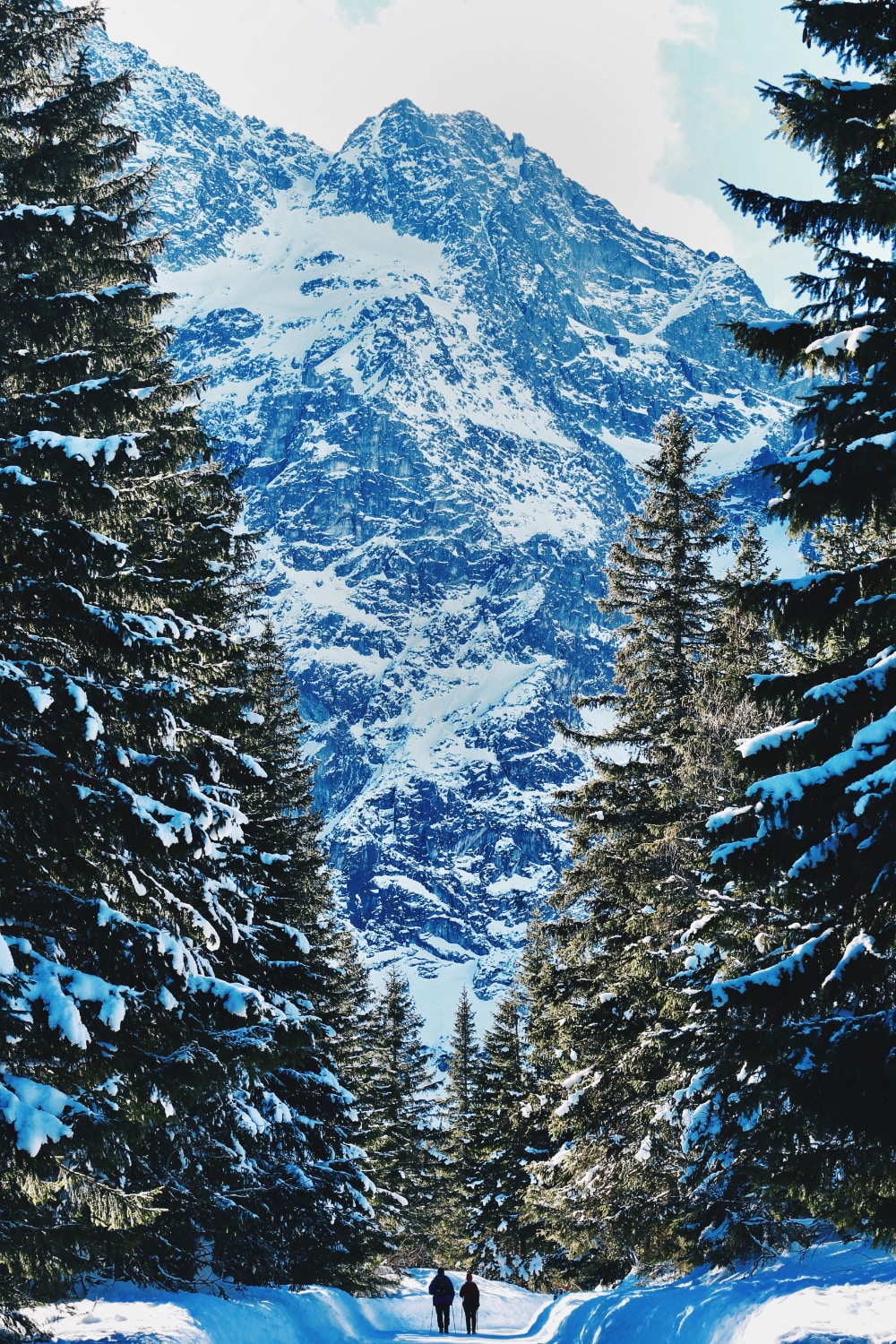 Two people walking down a path between trees at the foot of a mountain